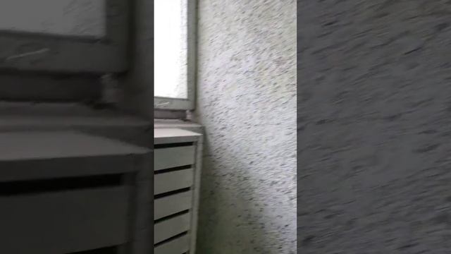 ремонт подъезда #ремонт смотреть онлайн