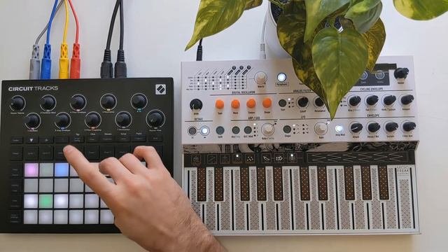 A Soft Synth Jam On The Novation Circuit Tracks And Arturia Microfreak