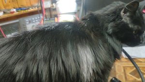 Ремонт сварки САИ190ПН РЕСАНТА самостоятельно.