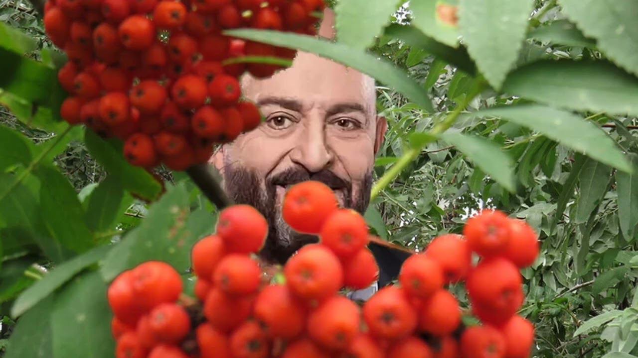 третье сентября Михаил Шуфутинский