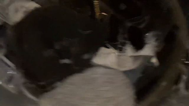 Whirlpool FreshCare+ | ECO40-60… ECO? смотреть онлайн