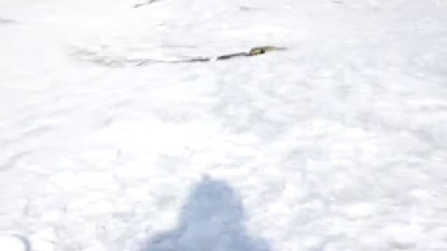 Достаем тычки на НАЛИМА смотреть онлайн