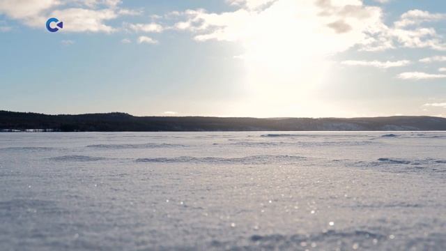 НАЦИОНАЛЬНЫЙ ПАРК «ПААНАЯРВИ». ЗИМА | Тайны карельского леса смотреть онлайн