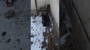 Стяжка шлаконаливного дома.фундамент.