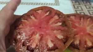 Томаты СТРАННАЯ ВЕЩЬ ДЕВУШКИ и ПЕРСИК ? из РИГИ самые вкусные и долгоплодоносящие.