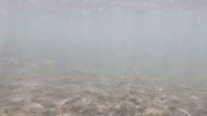 Эндирей Река Акташ.