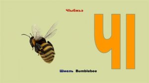 Алфавит. Часть 2. Картинки. Учим Адыгейский язык.