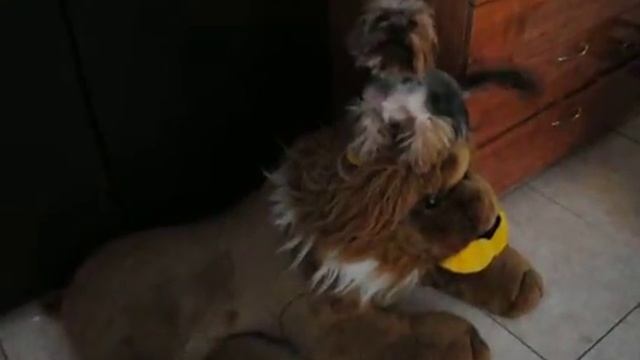 ♥ Питомник Флоулесс Стайл ♥ Джесси Энджел Фейс смотреть онлайн