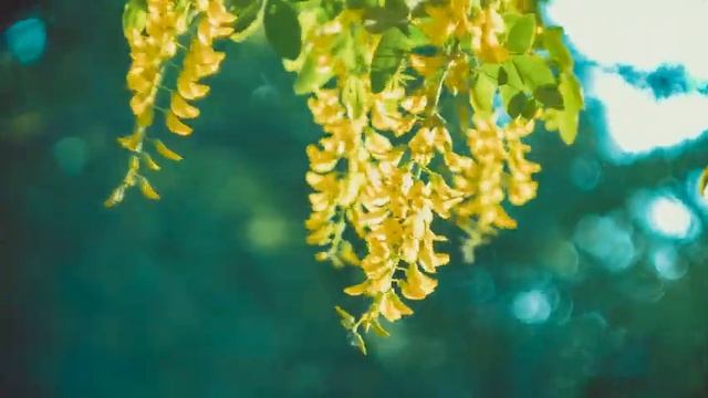 Звук фортепиано с отличным звуком делает хорошую музыку - Успокаивающая музыка для сна и релаксации смотреть онлайн