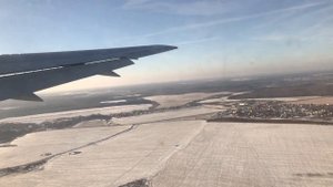 Птица в двигателе, помпаж на взлете B767 21.11.16