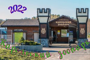 КАРЕЛЬСКИЙ  ЗООПАРК .Стоит ли сюда ехать?Вся ПРАВДА и ПРЯМО не скрывая эмоции.