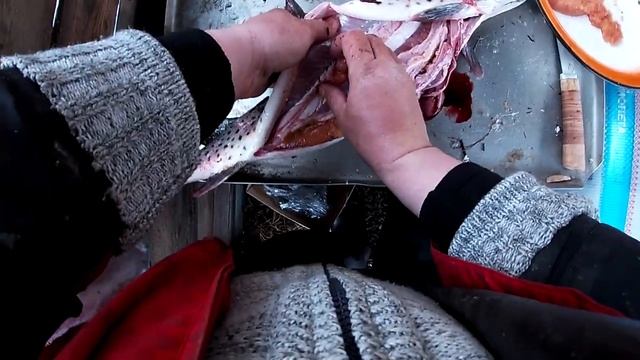 ПОРКА САМОК щуки на икру. Разделка рыбы. Кухня Аборигена