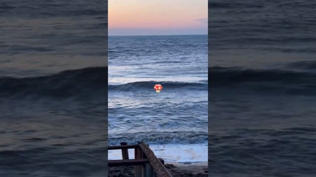 Закат🌅на побережье🌊Черного моря🌊ПОДПИШИСЬ🔔канал в описании🍄живу у моря🌊делюсь морем🩵с тобой❤️