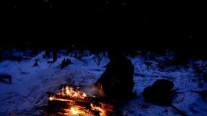 ТАЕЖНЫЙ КОСТЕР .Нодья . Зима . Вечер у костра . Беларусь 2018