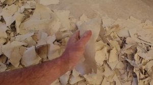 2. Расчистка штукатурных карнизов и гипсовой лепнины на потолке.  Проект (не)ПОЛНАЯ реставрация.