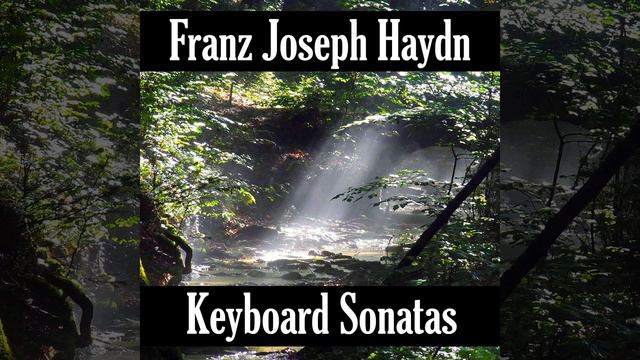 Keyboard Sonata No- 50 Hob- 37 in D Minor, Op- 50, Hob- 37 II- Largo e sostenuto смотреть онлайн
