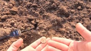 Нашел в ПОЛЕ и ОЦЕПЕНЕЛ!!! ПОТРЯСАЮЩИЕ НАХОДКИ и Коп с Garrett At Max