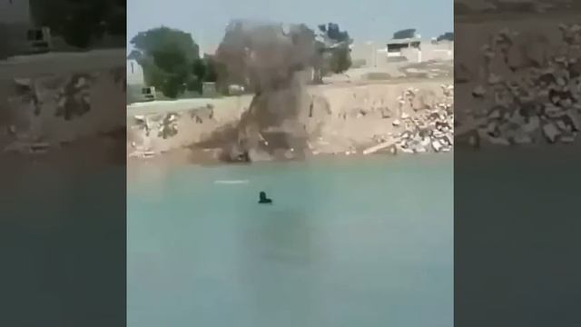 КОНЬ ПРОВАЛИЛСЯ В ЯМУ И УТОНУЛ . смотреть онлайн