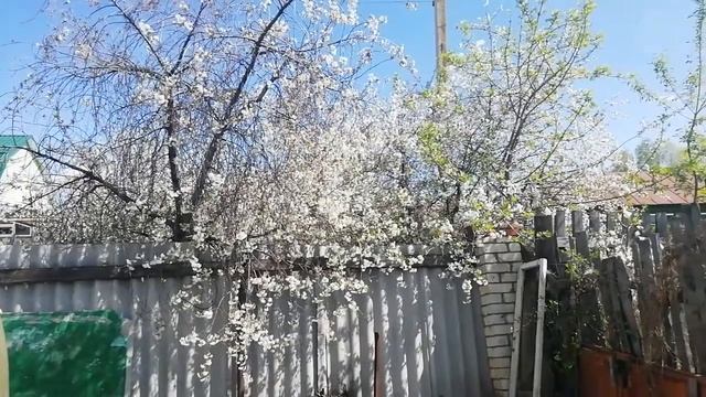 Огород часть 2+ужин. смотреть онлайн