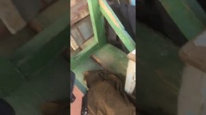 Обзор лодочного мотора Тарпон 5 он же Сиа Про 5