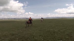 Самый быстрый галоп 2016