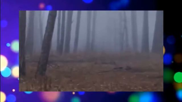 Детская песня Караоке Веселые друзья