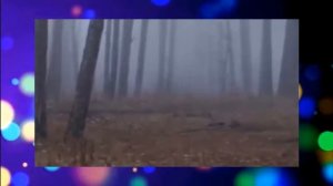 Детская песня Караоке Веселые друзья