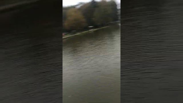 Утро 25.09.2022 рыбка активна!!! смотреть онлайн