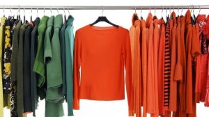 Блохи в квартире: это надо знать