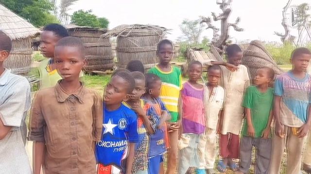 Puits №: 2363 (Niger) / Колодец №: 2363 (Нигер) смотреть онлайн