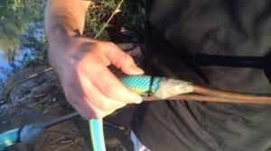 Горячий душ на природе