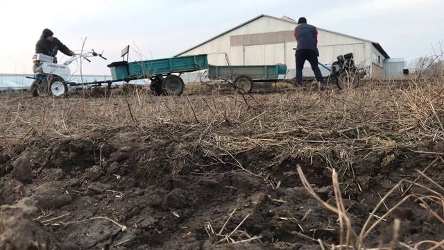 Нева Мб23 Yamaha против Мб 2