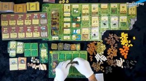 Настольная игра Фермеры с болот | Обзор дополнения к игре Агрикола