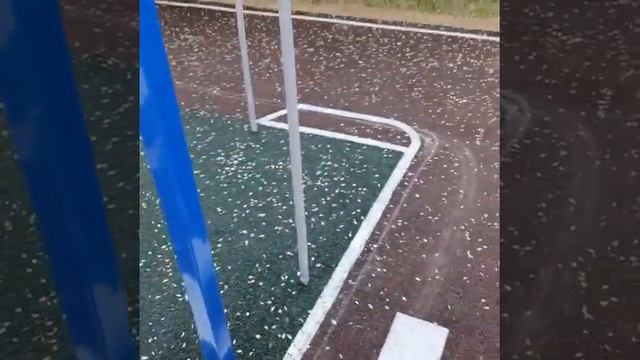 Спортивные покрытия из резиновой крошки для детских площадок смотреть онлайн