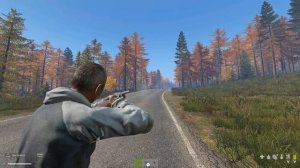 Dayz Standalone 0.63 - быстрая перезарядка