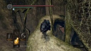 DARK SOULS™: REMASTERED_Где взять Большой меч дракона