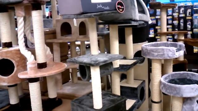 Магазин для животных Брюгге Tom  Co Brugge Belgium