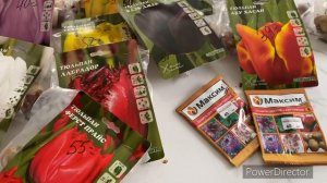 Сажаю тюльпаны в феврале