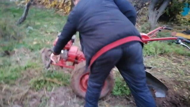 самодельный оборотный плуг к А-ля мотоблоку в работе смотреть онлайн