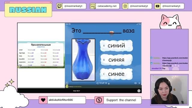 РКИ Урок 6: Прилагательные