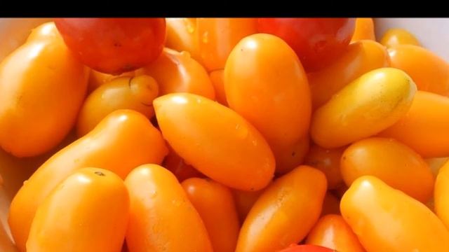 Как уменьшить количество пустоцветов на кустах томатов и увеличить число завязей смотреть онлайн