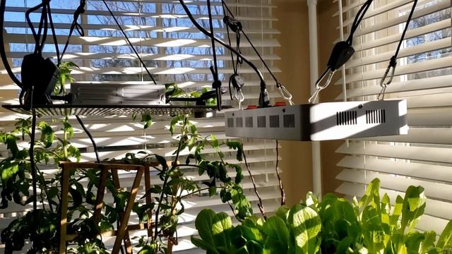 Growing Indoors in Winter смотреть онлайн