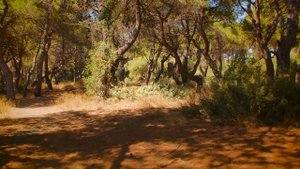 АУДИОКНИГА Геше Джампа Тинлей - Медитация о пустоте явлений(Глава9)