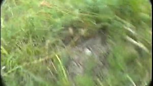 Коктебель.1997 год.