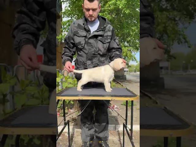 Стойка Симбы 16.05.24