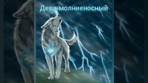 КАКОЙ ТЫ ВОЛК ПО ЗНАКУ ЗОДИАКА?