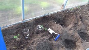 Высаживаем рассаду томатов Посадочный конус Green Apple