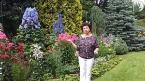 Видео журнал "СОФ №95" ТЕНЕВОЙ САД и НОВЫЕ ТЕМЫ.  Поговорим о дизайне, о гортензиях и цветниках