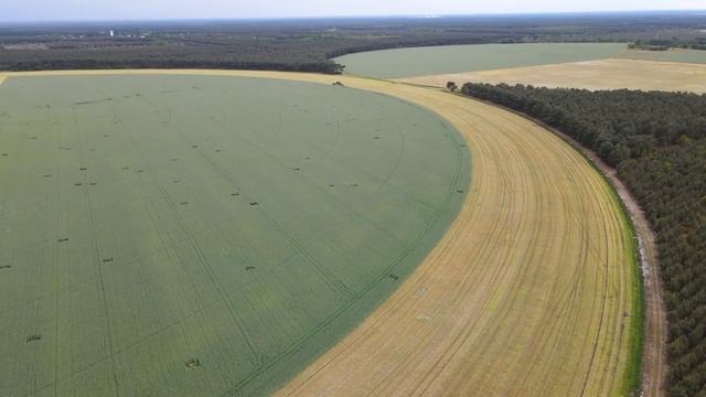 Farm?Лучшее за 2022 год