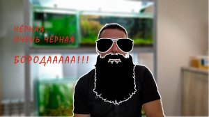 Борода и аквариум! Как не допустить появления в аквариуме водорослей! (Архив от 27.09.2021)